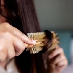 Bachca Brosse Brushing - Online