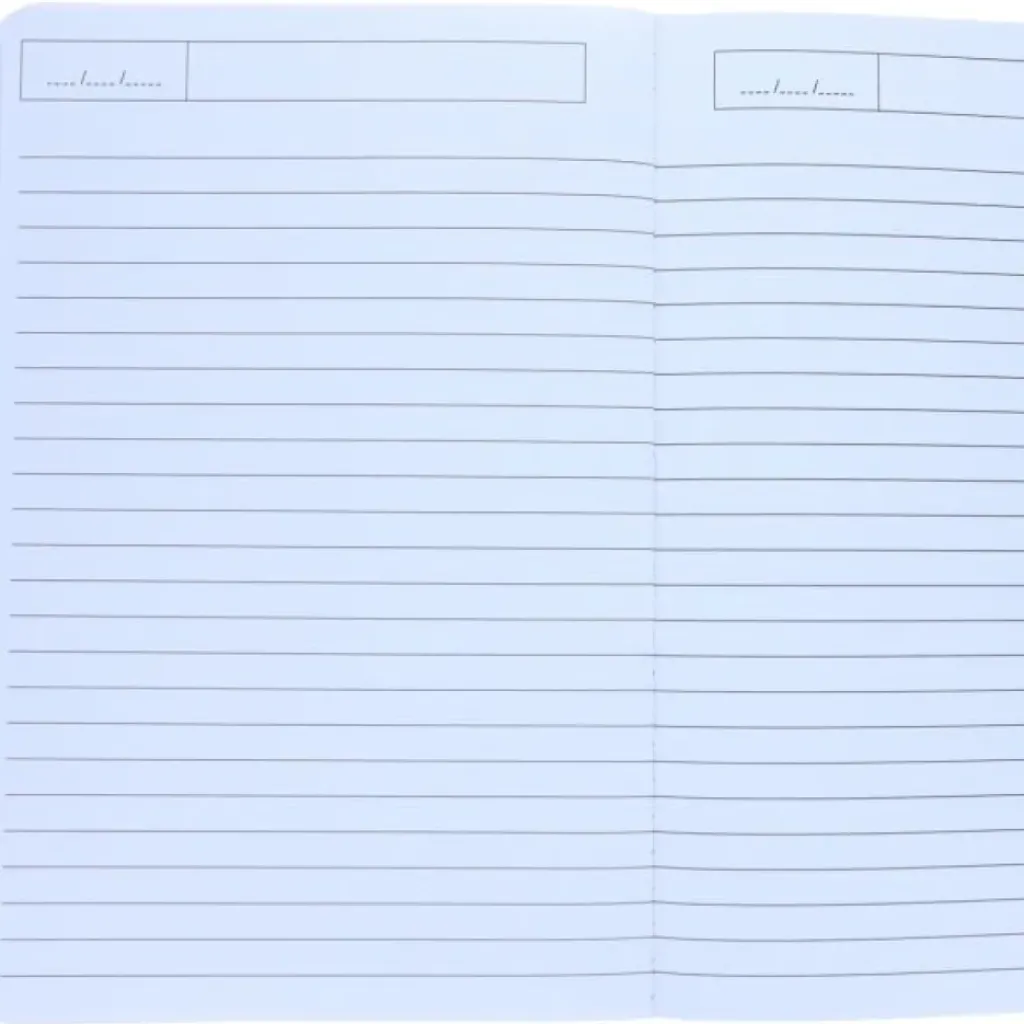 Mercredi Grand Cahier Dinosaures - Outlet