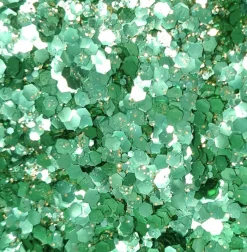 Sisi La Paillette Paillettes Poison Simone - Hot