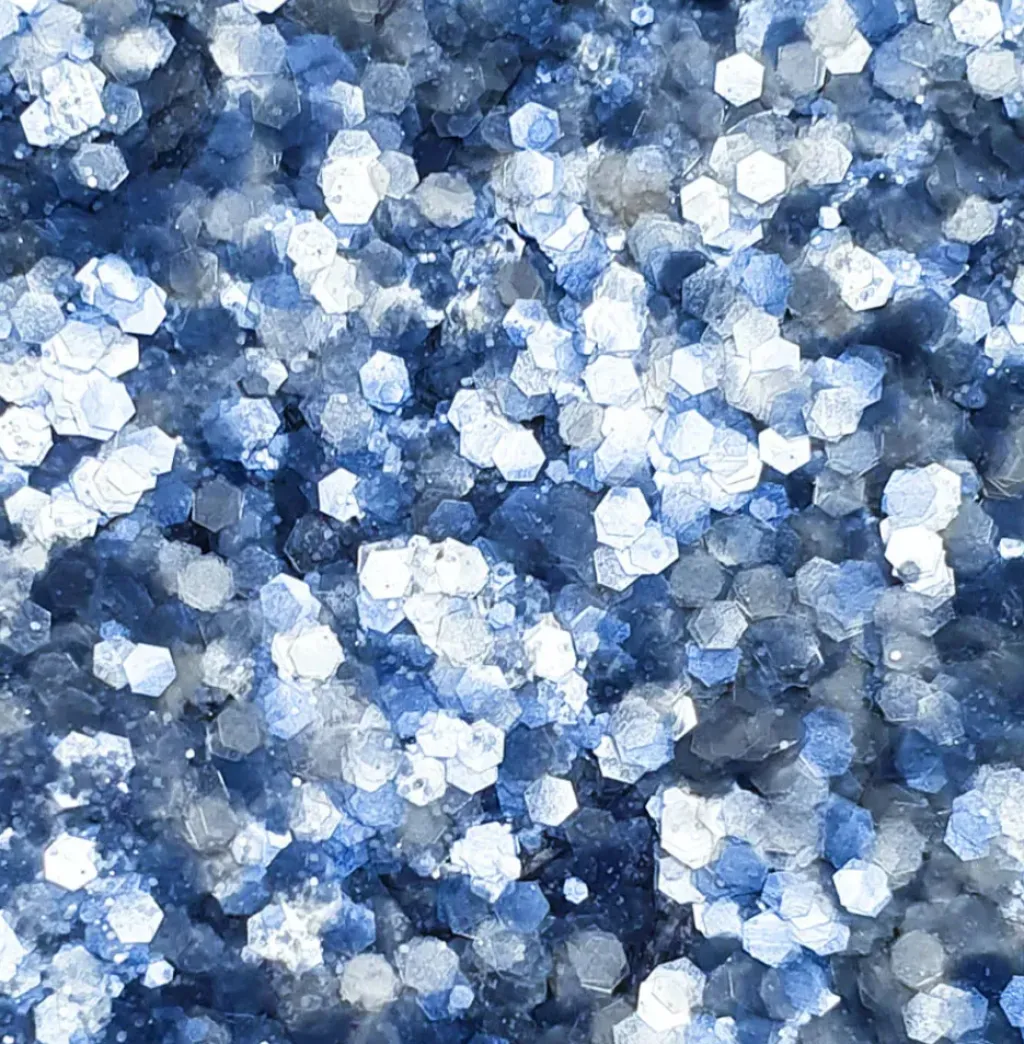 Sisi La Paillette Paillettes Tout Schuss - Online