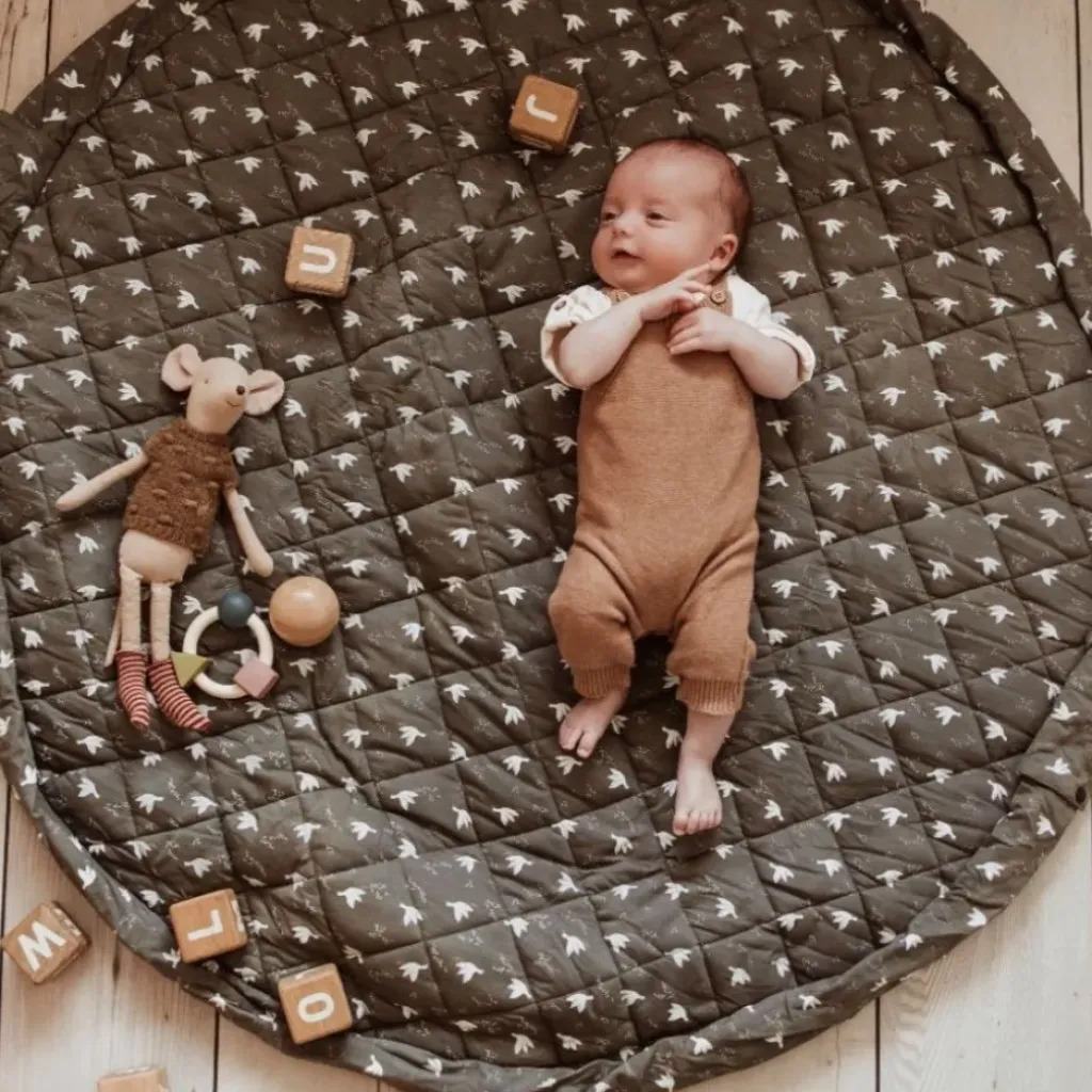 Play and Go Tapis d'Éveil et Sac à Langer Birds - Fashion